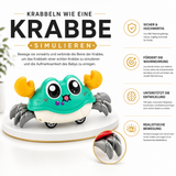 Krabbelino - Dein verrückter Wirbel Flitzer