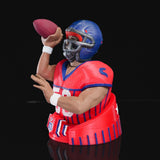 Quarterback Wurf-Ass - Dein treffsicherer Ballwerfer