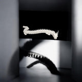 Der Sturmdrache - Dein lebendiger Begleiter