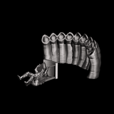 ParachutePilot - Dein außergewöhnlicher Kopfhörerhalter