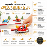 Krabbelino - Dein verrückter Wirbel Flitzer