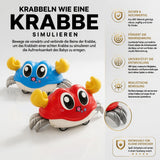 Krabbelino - Dein verrückter Wirbel Flitzer